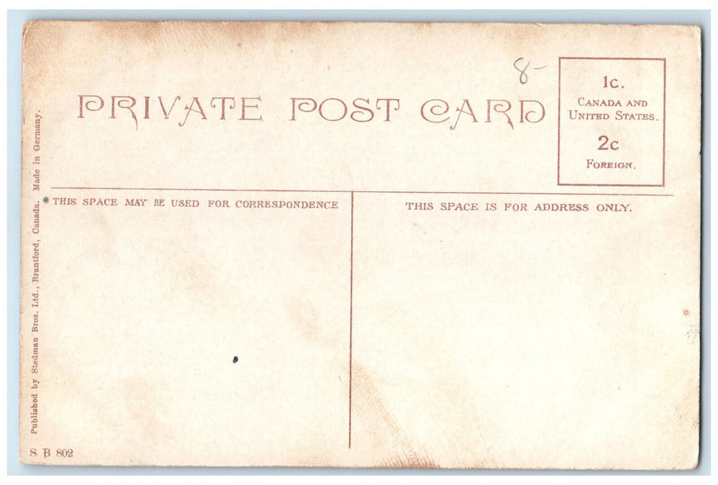 c1910 Falls Rockwood Park St. John New Brunswick Canada Vintage Postcard