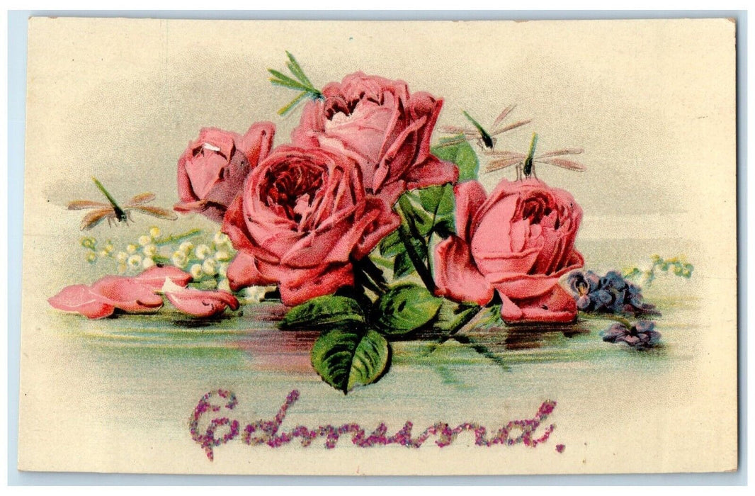 c1910's Roses Flowers Dragonfly Embossed Hartsburg Missouri MO Antique Postcard