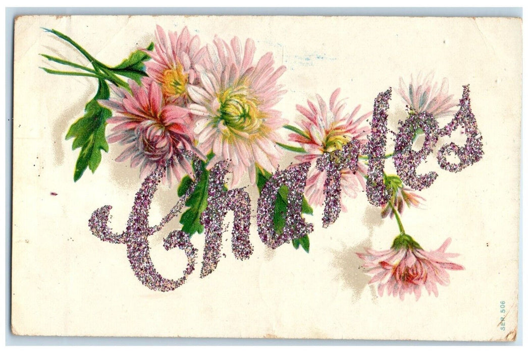 c1910's Flowers Charles Glitter Embossed Tulsa Oklahoma OK Antique Postcard