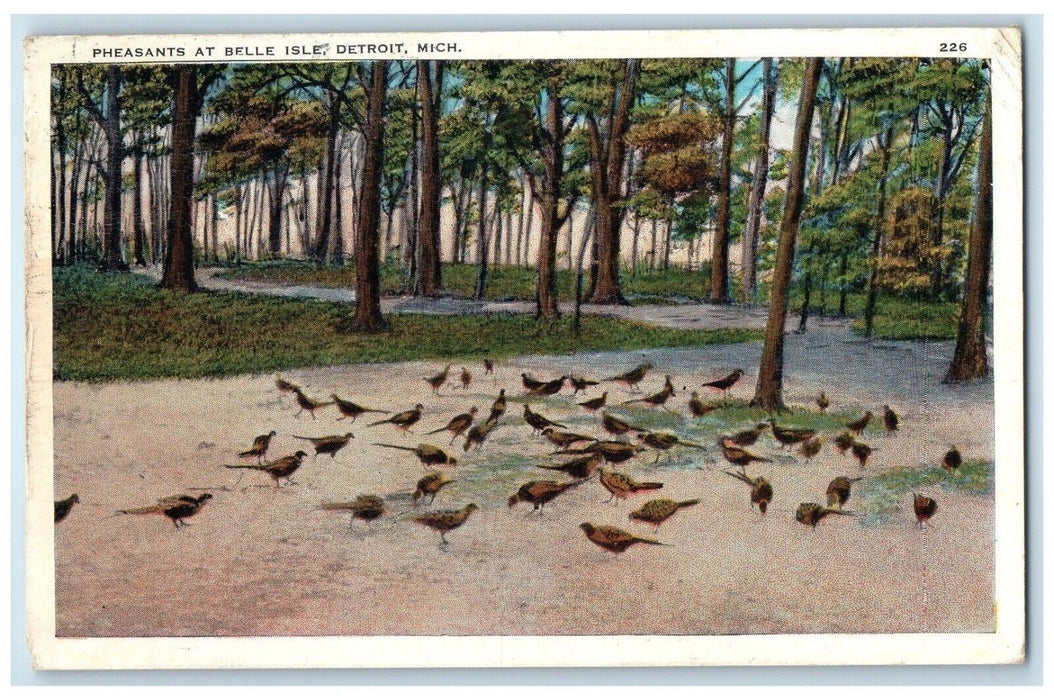 1930 Scenic View Forest Birds Pheasants Belle Isle Detroit Michigan MI Postcard