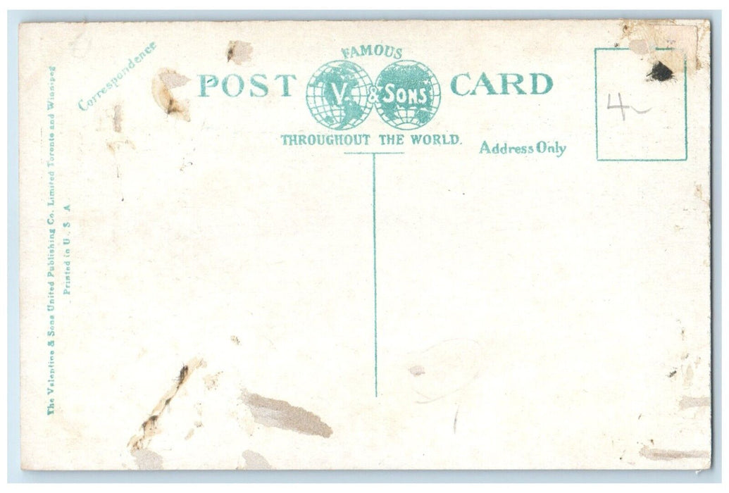c1920's Reversing Falls (Turn of Tide) St. John NB Canada Unposted Postcard