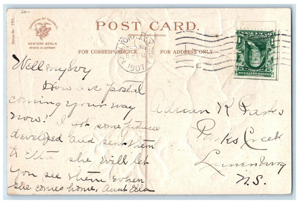 1907 Children Scared To Dog Holly Berries Clapsaddle Embossed New York Postcard