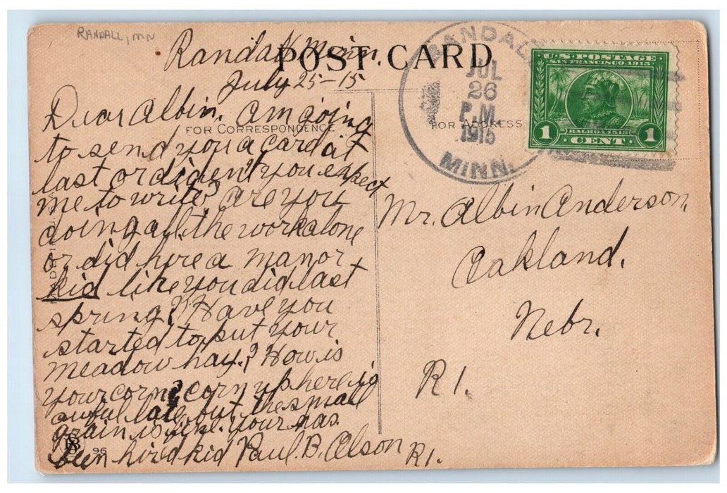 1915 Dutch Children Tea Randall Minnesota MN Posted Antique Postcard
