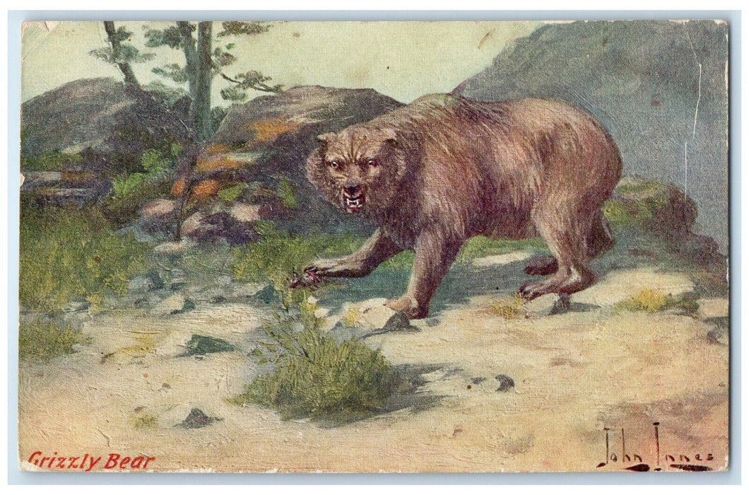 c1905 Grizzly Bear John Innes Art Troilene Animals Unposed Antique Postcard