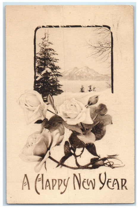 1911 Happy New Year Roses Flowers Mankato Minnesota MN Posted Antique Postcard