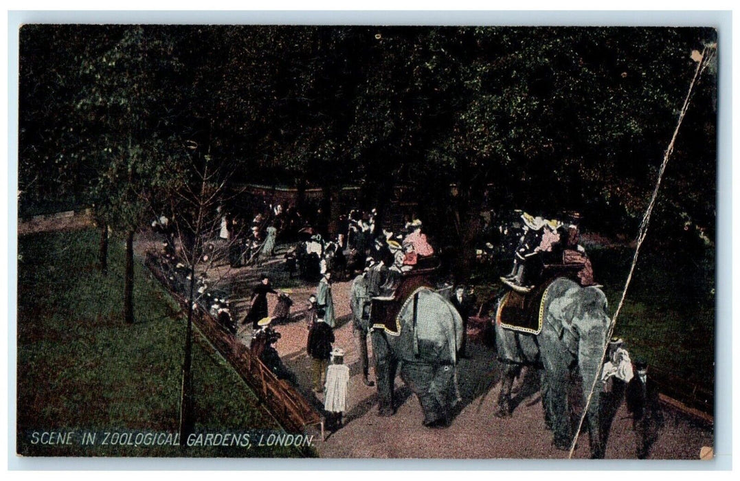 c1910 Scene in Zoological Gardens London England Antique Unposted Postcard