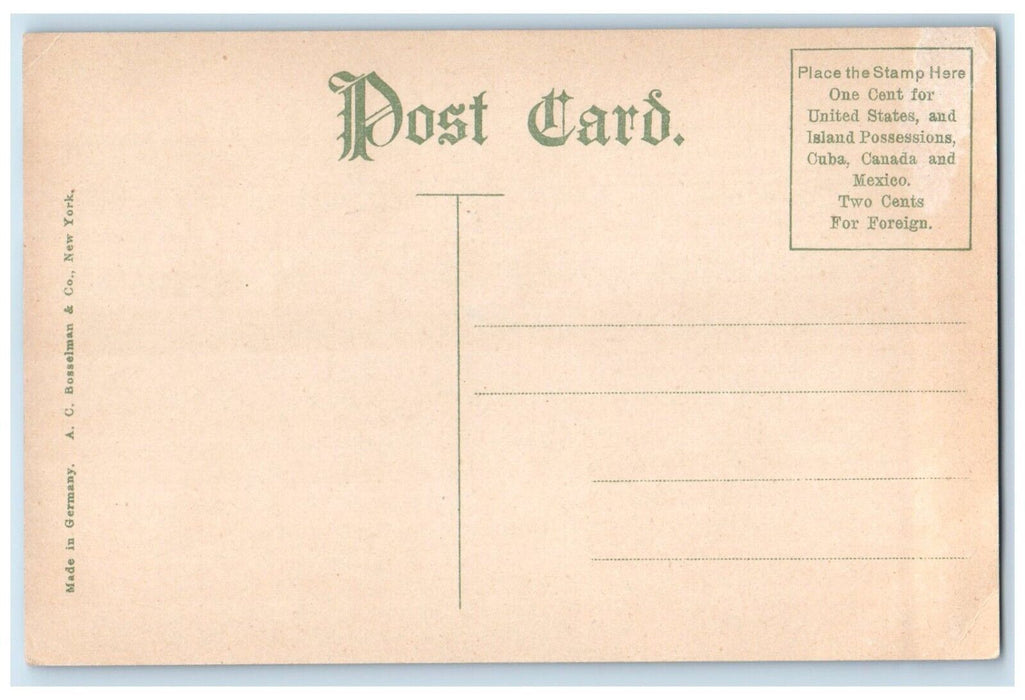 c1910 Canoeing Boat Country Club Bridge Sioux City Iowa Antique Vintage Postcard