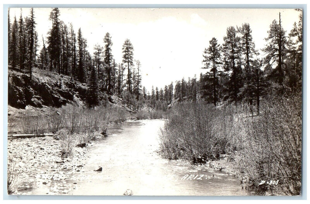 c1940's Trout Stream Alpine Arizona AZ RPPC Photo Unposted Vintage Postcard