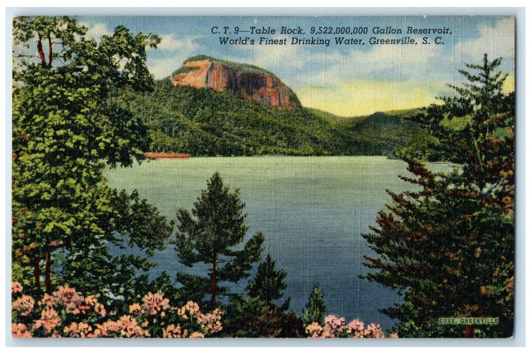 c1940 Table Rock Gallon Reservoir Drinking Greenville South Carolina SC Postcard