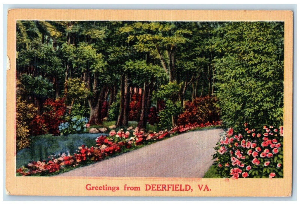 1955 Greetings From Road Forest Trees Lake Deerfield Virginia Vintage Postcard