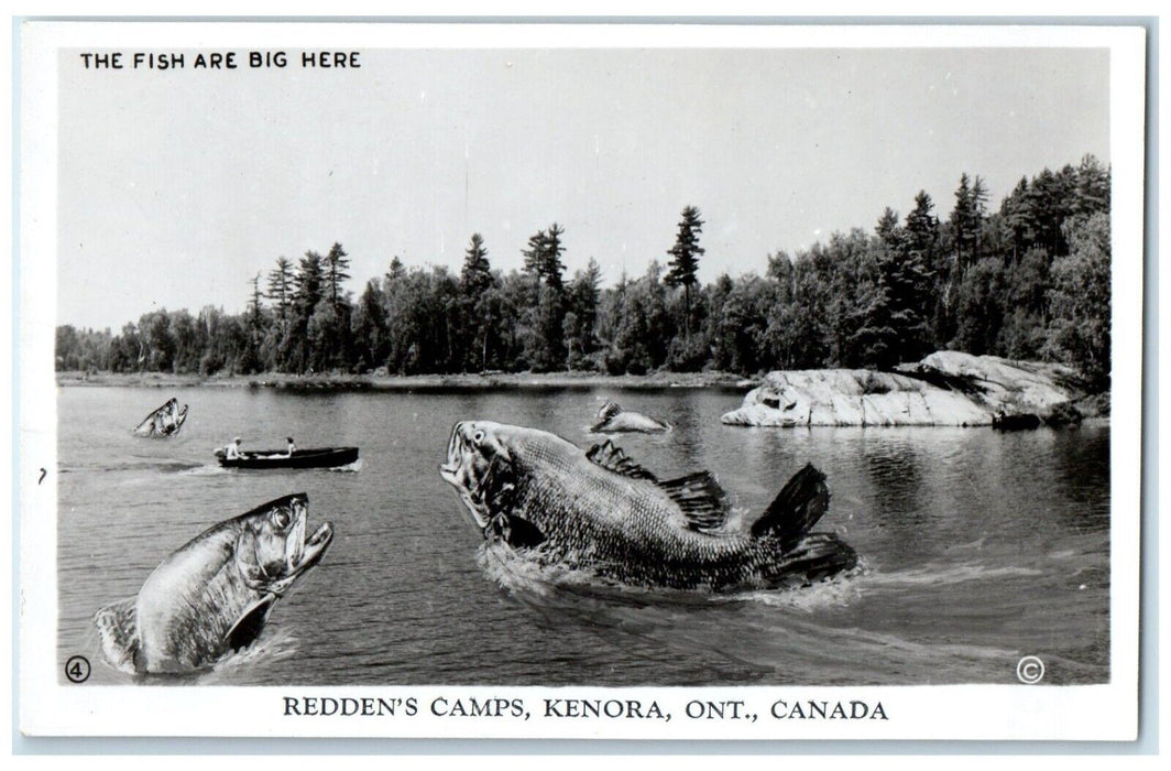 c1940's Redden's Camps Kenora Ontario Canada, Big Fishes RPPC Photo Postcard