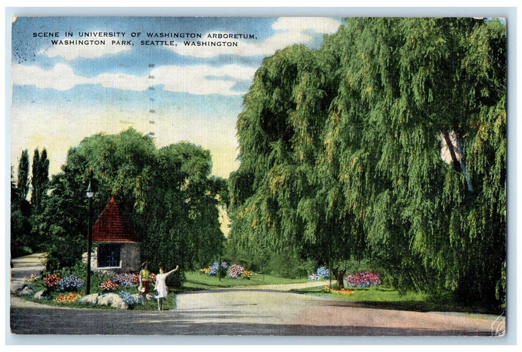 1950 Scene University Washington Arboretum Park Seattle Washington WA Postcard