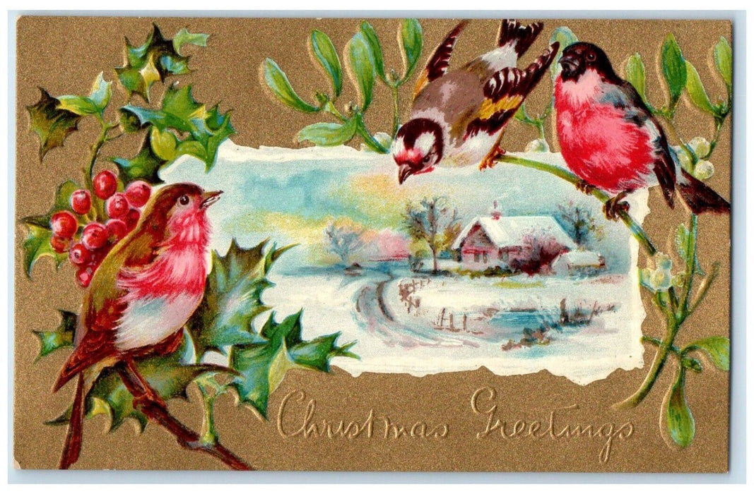 c1905 Christmas Greetings Song Birds Holly Berries Embossed Antique Postcard