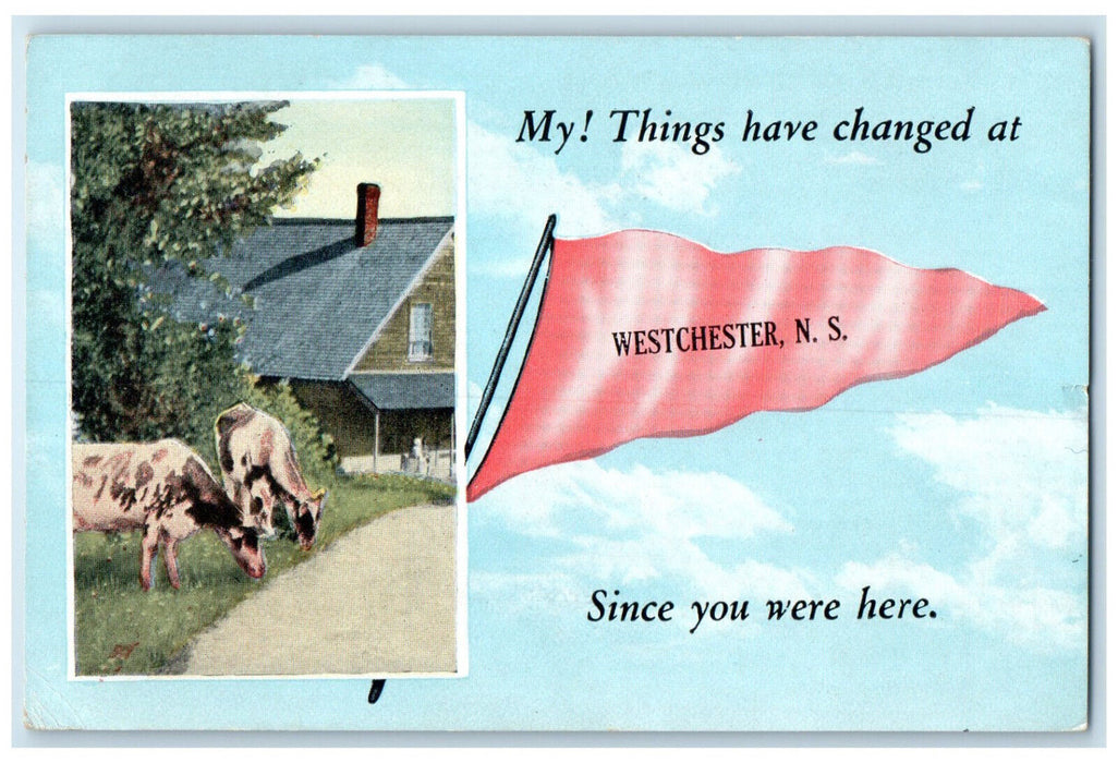 1912 Cow Scene Pennant Message Westchester Nova Scotia Canada Postcard