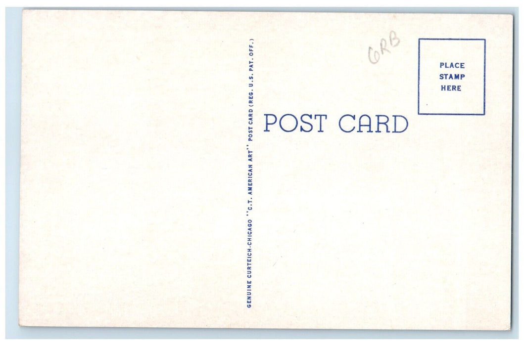 c1940 Scenic View Confederate Monument Humboldt Tennessee TN Unposted Postcard
