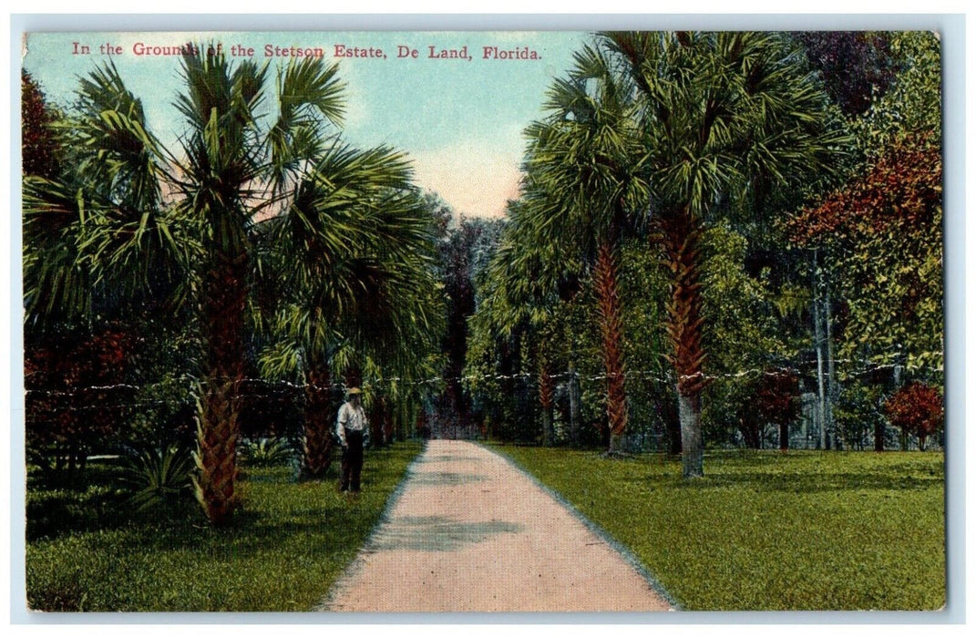 c1910's In The Grounds Of The Stetson Estate De Land Florida FL Antique Postcard