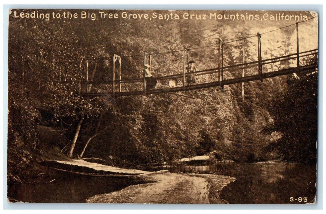 1920 Leading To The Big Tree Grove Santa Cruz Mountains California CA Postcard