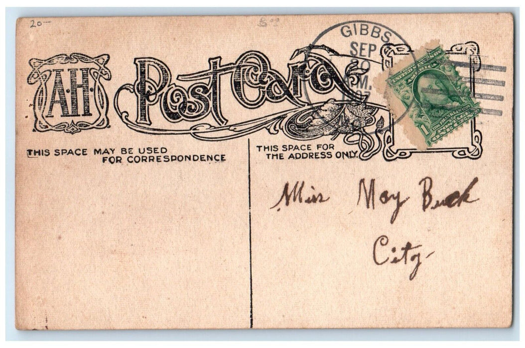 c1910's Valentine Woman Love's Temperature Gibbs Missouri MO Antique Postcard