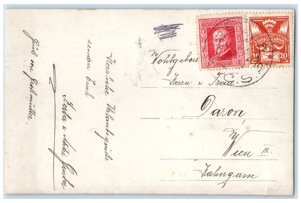 c1910's Pardubice Region Chrudim District, Czech republic RPPC Photo Postcard