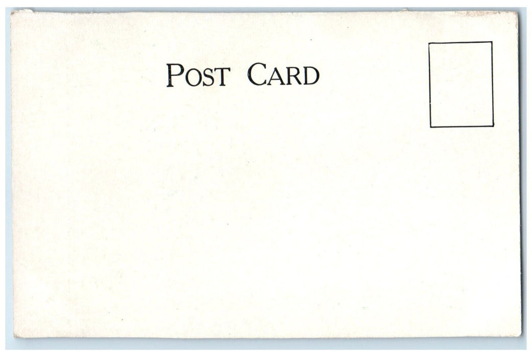 c1905 Norwegian Lutheran Church Bisbee North Dakota ND Unposted Antique Postcard