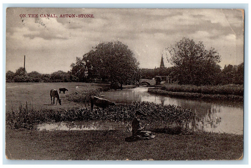 1905 Animal Scene on River On The Canal Aston Stone England Postcard