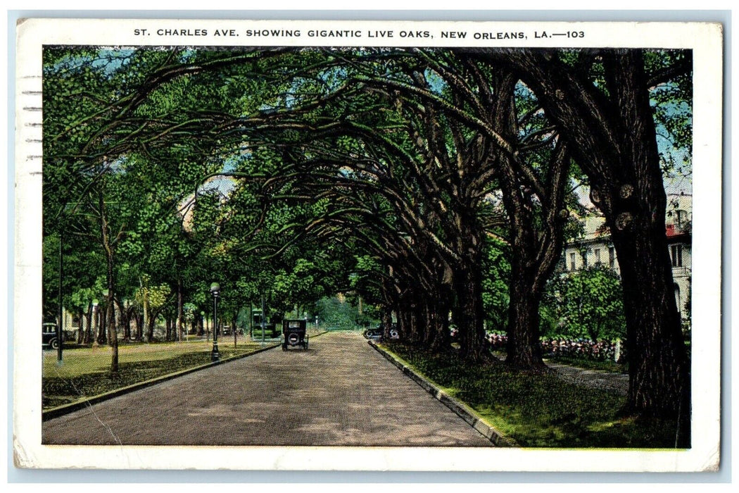 1931 St. Charles Ave. Showing Gigantic Live Oaks New Orleans Louisiana Postcard