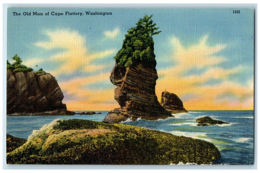 c1930's View Of The Old Man Of Cape Flattery Washington WA Vintage Postcard