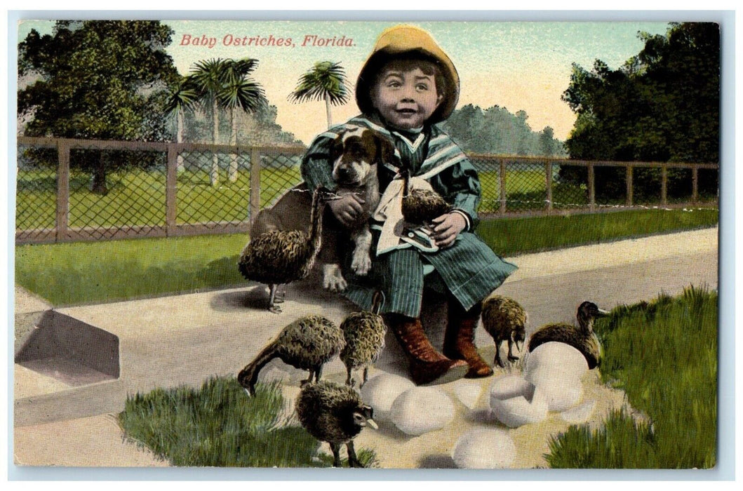 c1905 Baby Ostrich Baby Boy Holding Puppy Florida FL Unposted Souvenir Postcard