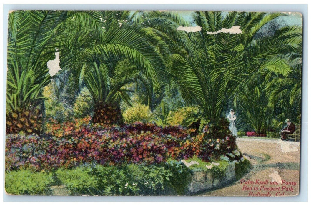 1910 Palm Knoll Pansy Bed Prospect Park Redlands Los Angeles California Postcard