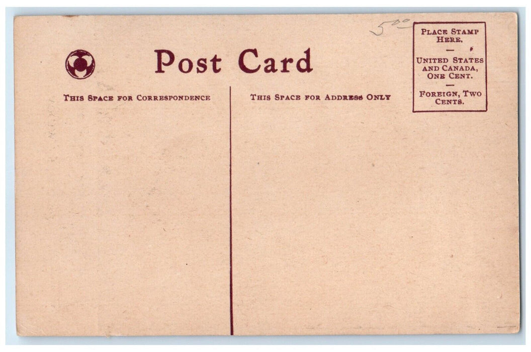 c1910's Merry Widow Hat Couple Romance Unposted Antique Postcard