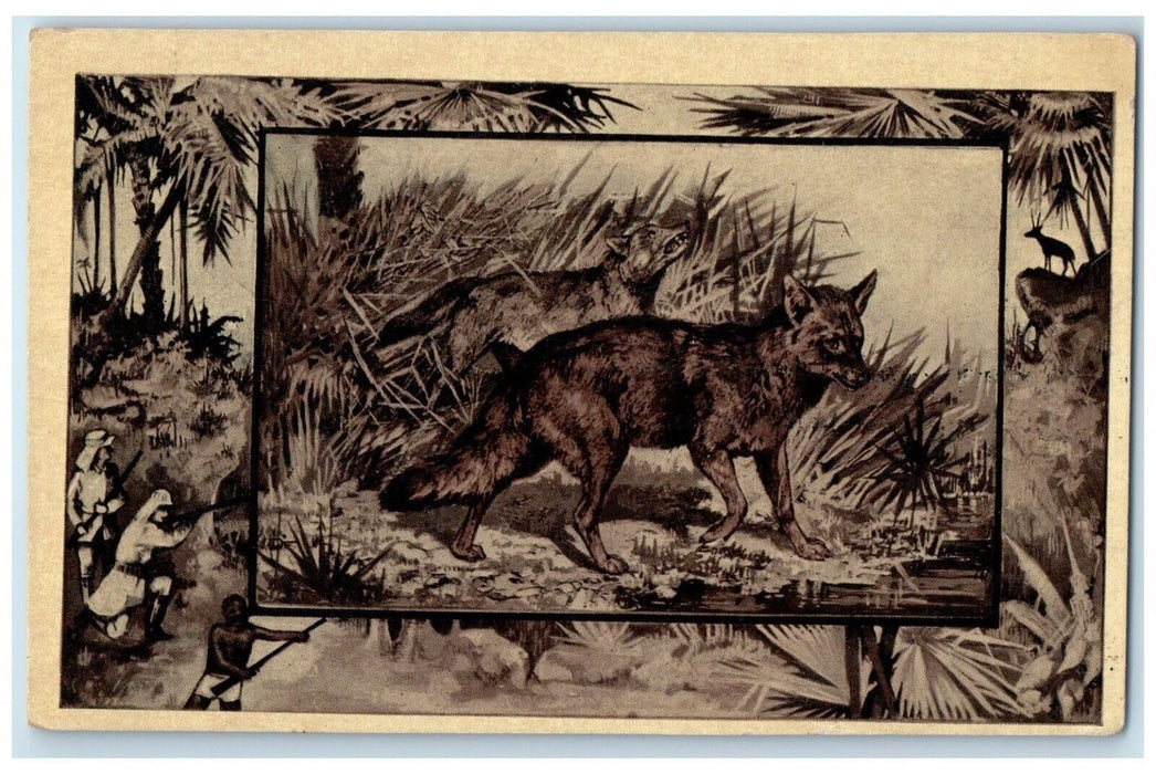 The Jackal Dog CD Warner Co. Coldwater Michigan MI Unposted Antique Postcard