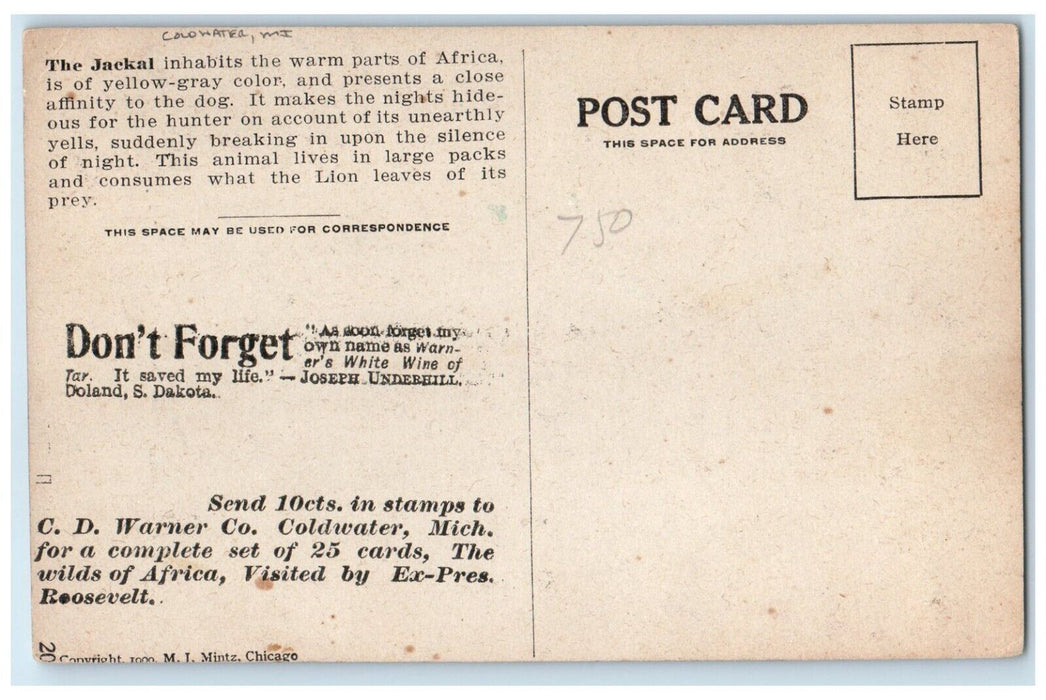 The Jackal Dog CD Warner Co. Coldwater Michigan MI Unposted Antique Postcard