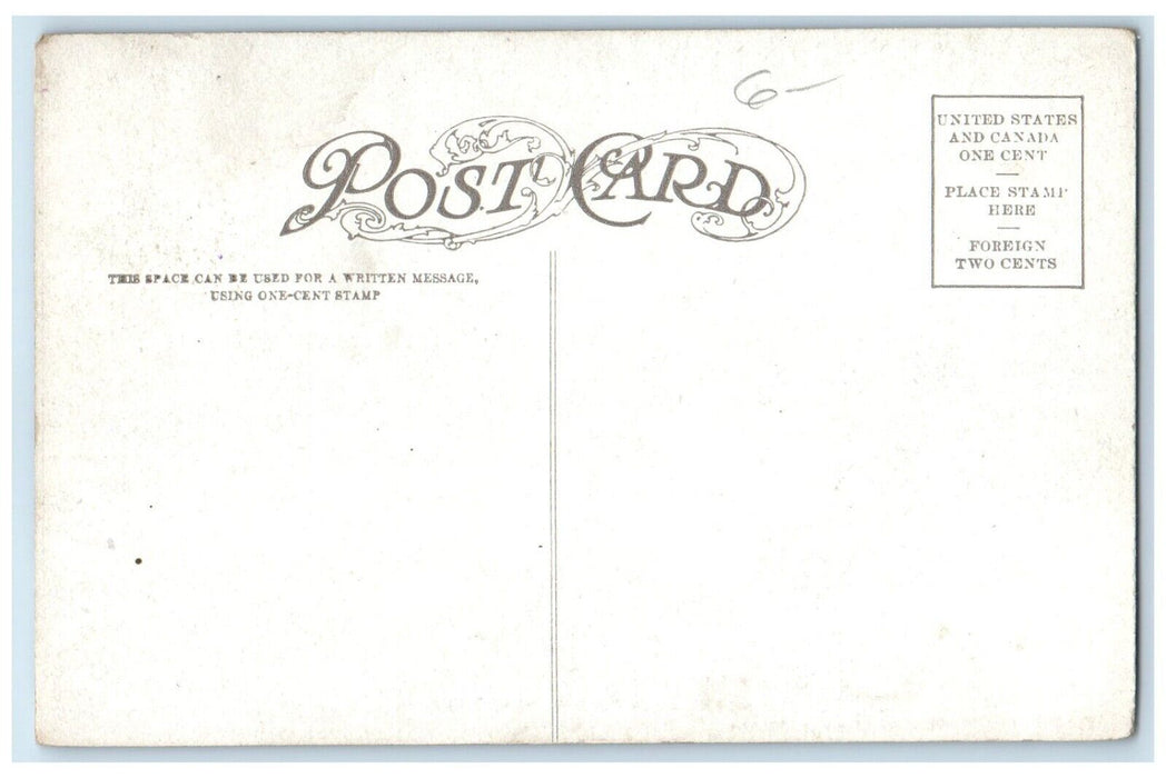 c1910's Three Black Crows Of Alaska AK Unposted Antique Postcard