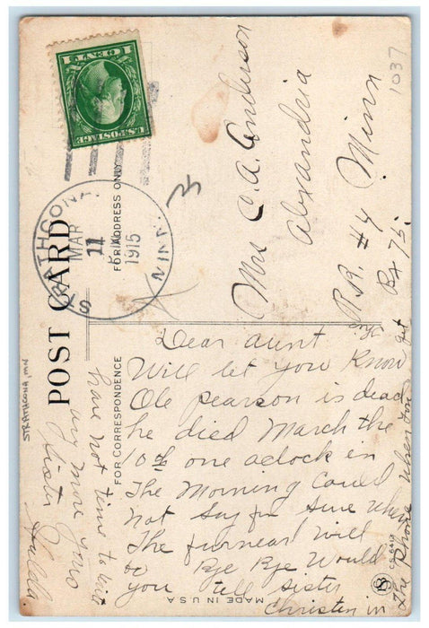 1915 Dutch Girl Writing Cute Cat Kitten Strathcona Minnesota MN Antique Postcard