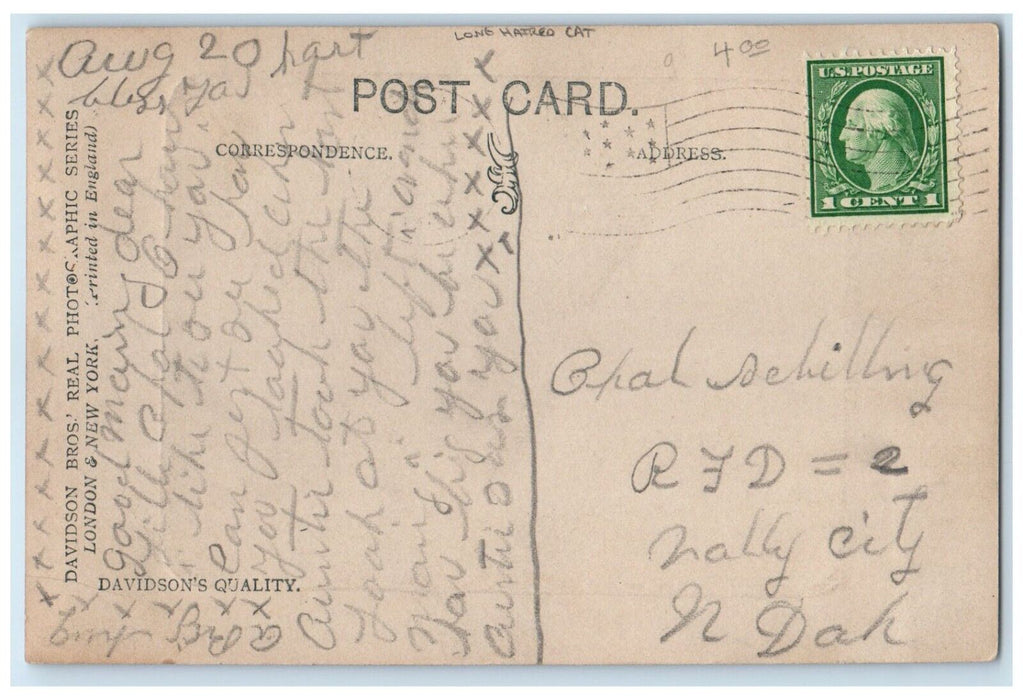 c1905 Long Haired Cat In Basket So Tired Waiting Valley City ND Antique Postcard