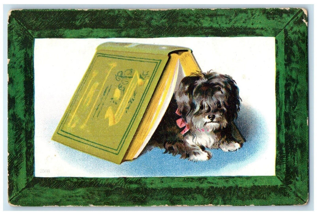 c1905 Cute Maltese Dog Hiding On Book Animals Posted Antique Postcard