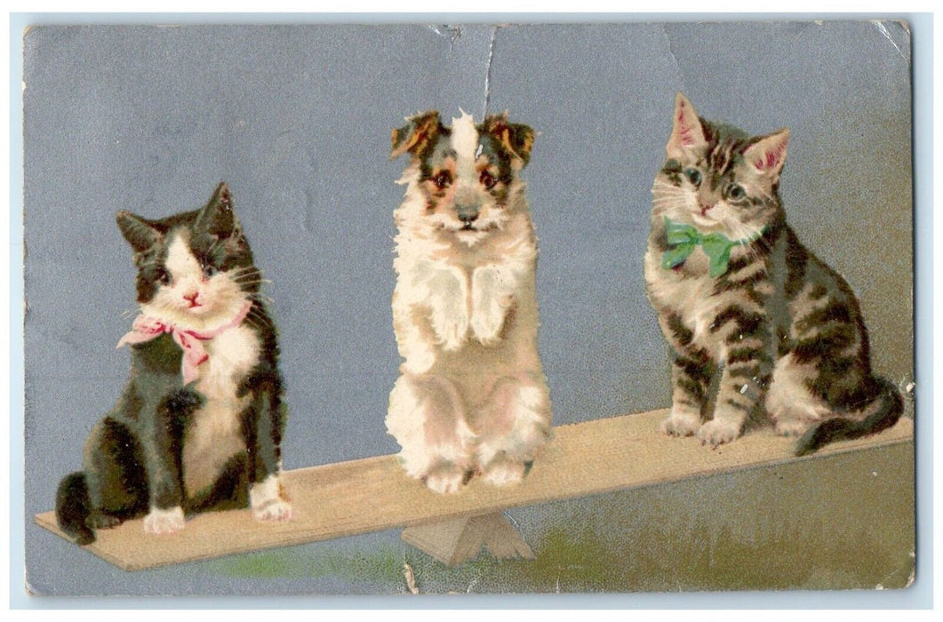 1908 Cute Puppy And Cat Kitten See Saw Nash Hopewell New Jersey NJ Postcard