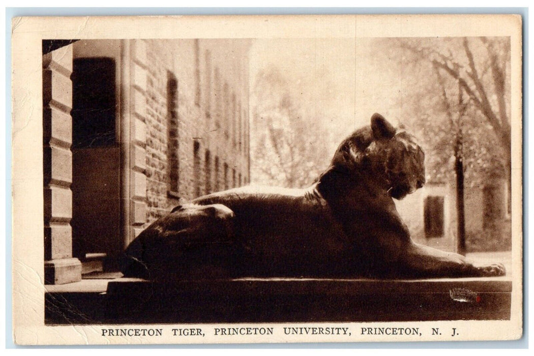 1933 Princeton Tiger Princeton University Princeton New Jersey NJ Postcard