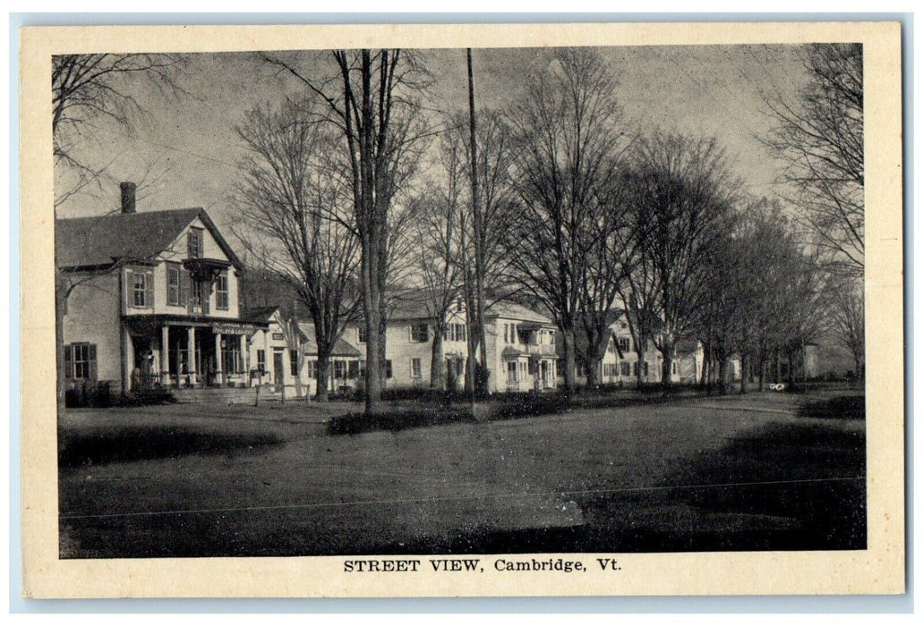 c1920 Street View Exterior Houses Cambridge Vermont VT Vintage Antique Postcard