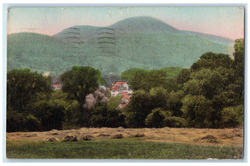 1946 East Mountain Great Trees Barrington Massachusetts Vintage Antique Postcard