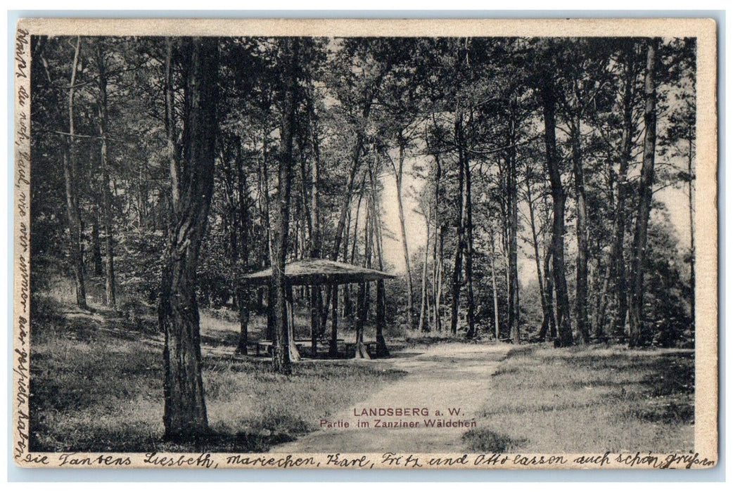 c1920's Partie Im Zanzinger Wäldchen Landsberg am Lech Germany Postcard