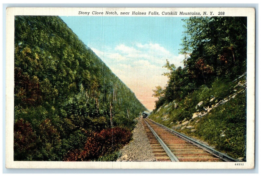 c1940 Stony Clove Notch Haines Falls Train Catskills Mountains New York Postcard