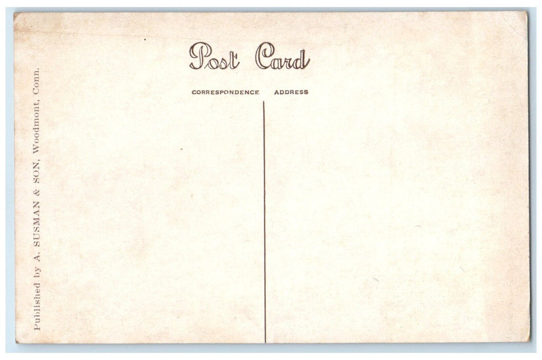 c1920 Scenic View Signal Rock Woodmont Connecticut CT Vintage Unposted Postcard