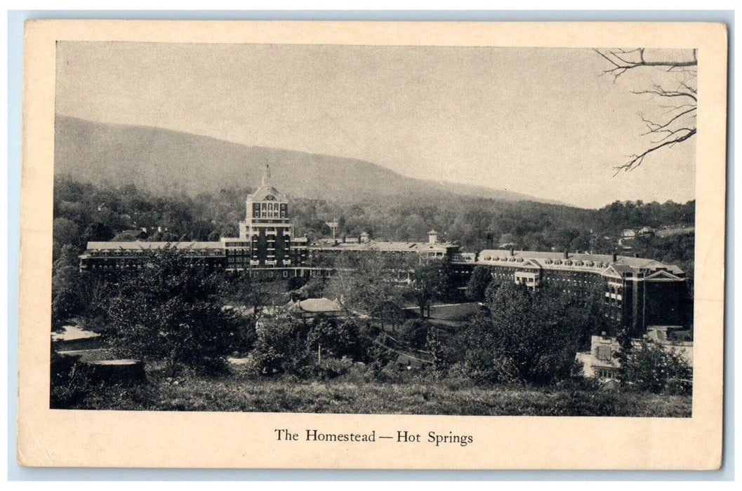 c1940 Aerial View Homestead Hot Springs Life Insurance Company Virginia Postcard