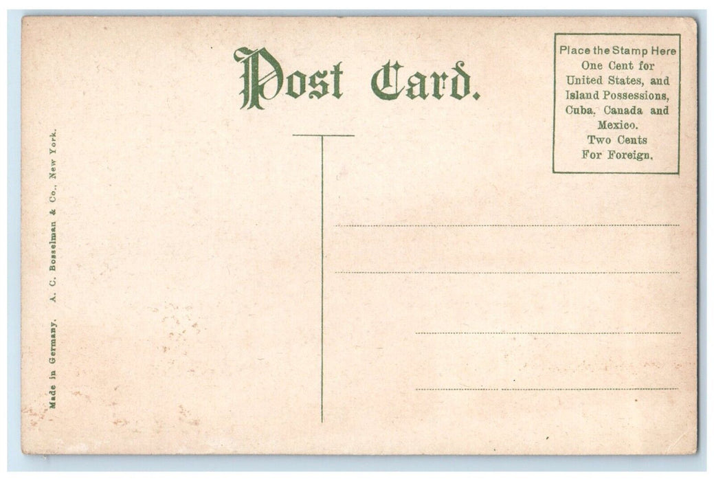 c1910 Exterior View Snity House Building Bethlehem Pennsylvania Antique Postcard