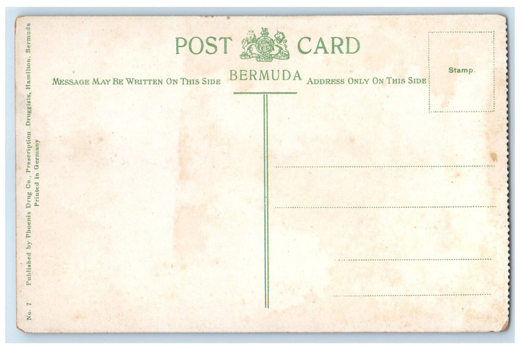 c1910 Yachting in Hamilton Harbour Bermuda Antique Unposted Postcard