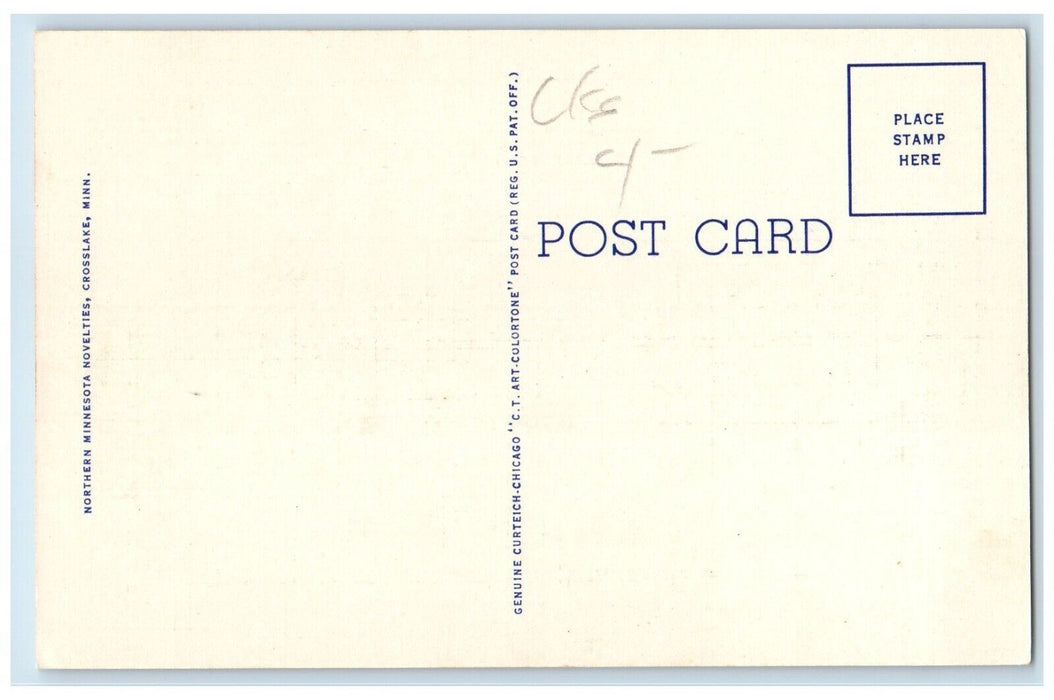 c1940 Excursion Boat Ship Itasca State Park Minnesota Vintage Antique Postcard