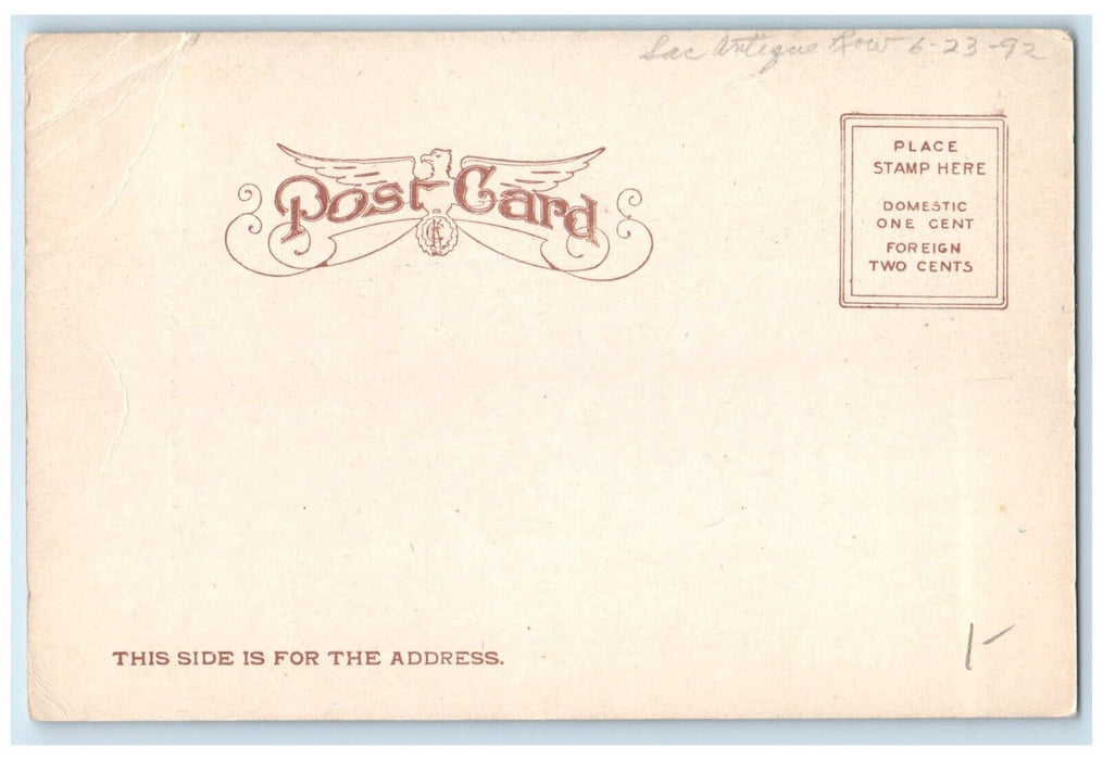 c1905 Mark Twains Cabin Aurora Nevada Where He Wrote Roughing Exterior Postcard
