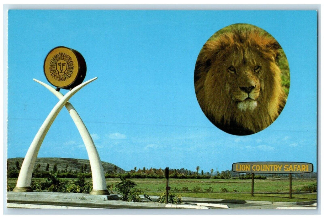 c1960 Main Entrance Lion Country Safari California CA Vintage Unposted Postcard