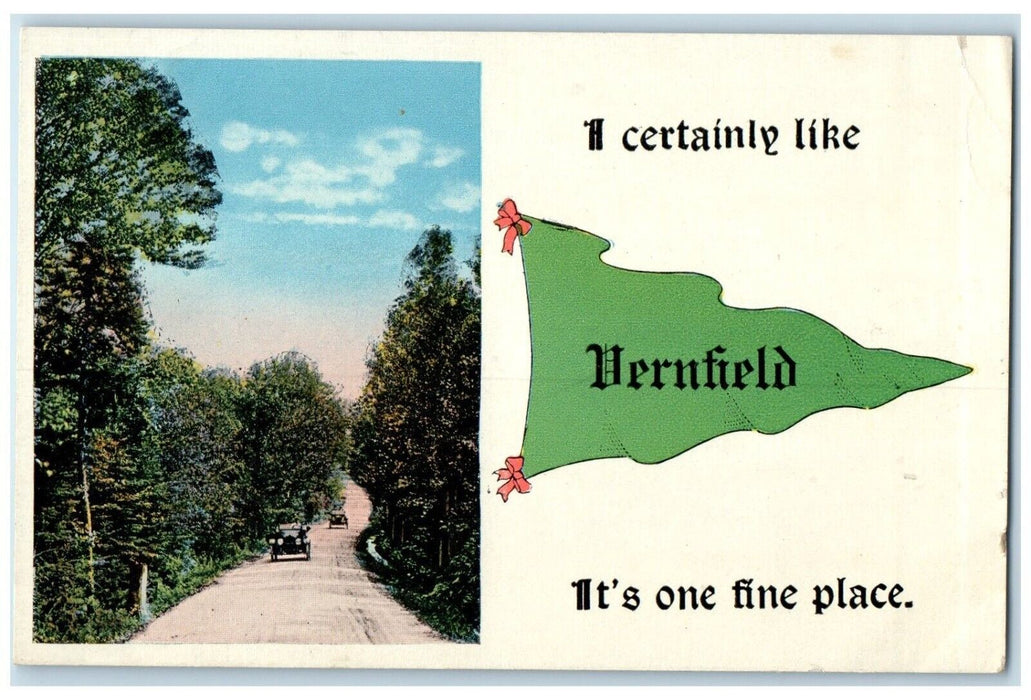 1910 A Certainly Like Vernfield Pennsylvania PA Pennant Vintage Antique Postcard